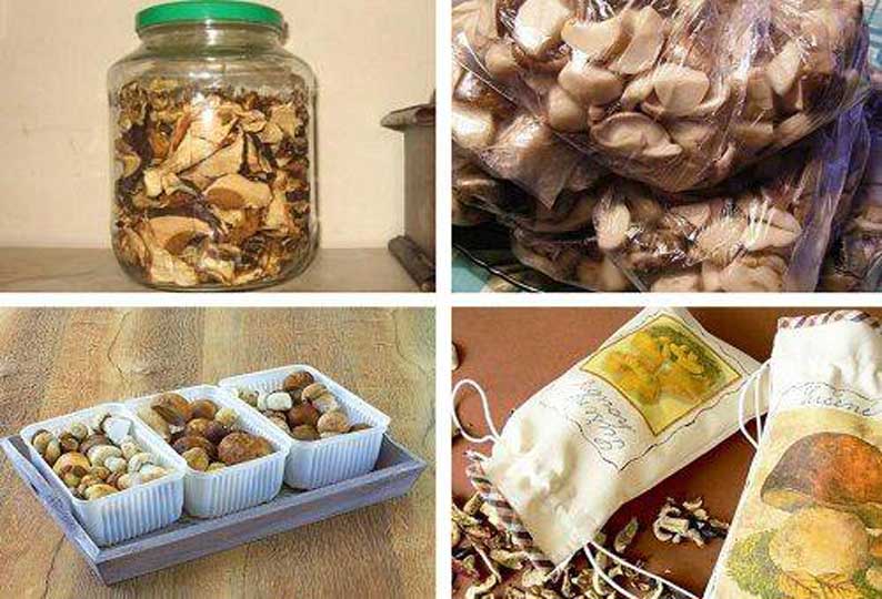 Как правильно хранить сушеные грибы в домашних условиях, в квартире